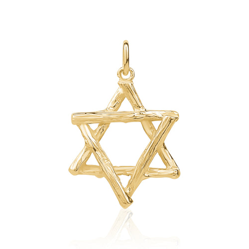 14 Karat Gold Star of David Pendant with Bamboo Motif (22mm Diameter)