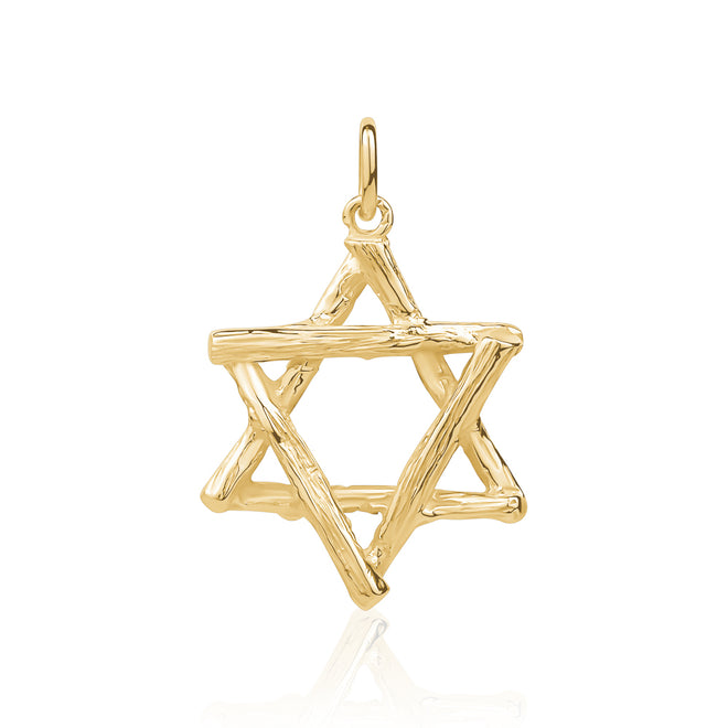 14 Karat Gold Star of David Pendant with Bamboo Motif (22mm Diameter)