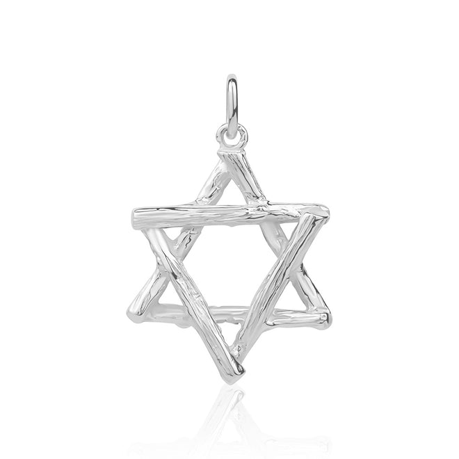 14 Karat Gold Star of David Pendant with Bamboo Motif (22mm Diameter)